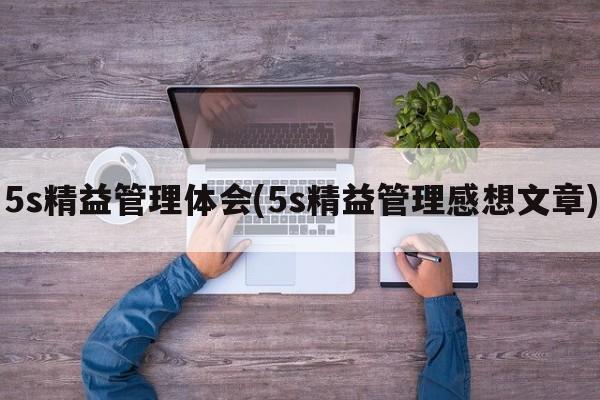 5s精益管理体会(5s精益管理感想文章)